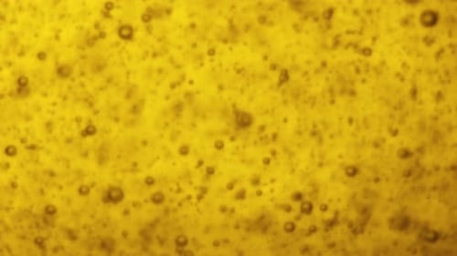 Air and Gas Bubbles Rise in Yellow Liquid Carbonated Beverage Macro
