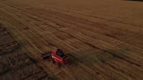 Roter Mähdrescher erntet Weizen bei Sonnenuntergang im zentralen Teil der Ukraine