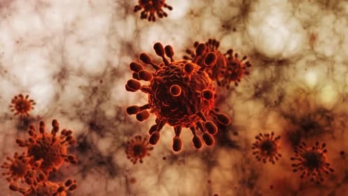 medical animation. The virus model is realistic.