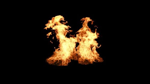 31 Fire HD