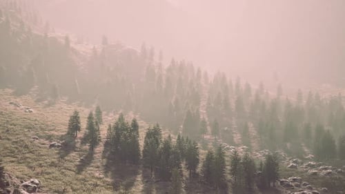 Mountain Range with Valley and Forest