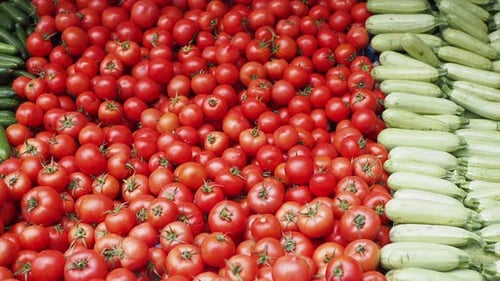 You Can Find Fresh Red Tomatoes and Green Cucumbers That are Available at the Market Stall