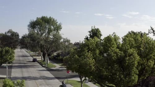 Aerial View of Suburban Street with Green Trees