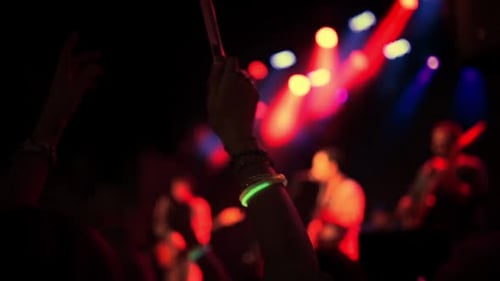 Live Music Performance with Crowd Enjoying the Show