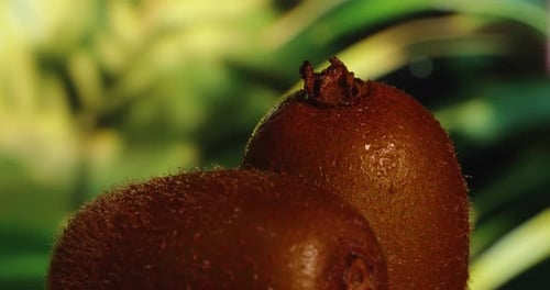 Kiwi close-up with tropical background