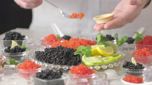 Tasting salmon red caviar and black beluga sturgeon salted roe