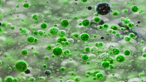 macro shot of small green bubbles floating in water and dark bubbles falling to ground out of focus