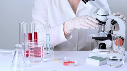 Scientist Uses Microscope in Laboratory Setting