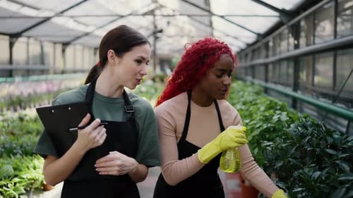Friendly Gardeners Working Together in Greenhouse