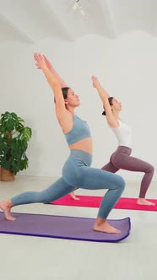 Two Women Practicing Yoga Postures Inside