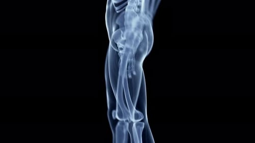 Medizinische Animation, die die Anatomie des menschlichen Fußes und Knöchelskeletts zeigt