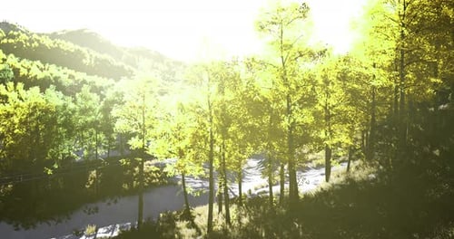 Golden Sunlight Filters Through Vibrant Green Trees in a Serene Landscape