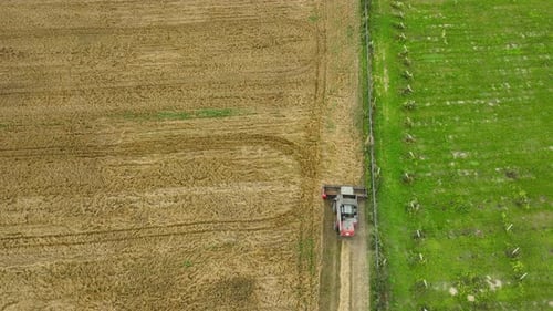 Aerial view of a combine harvester working in a vast golden wheat field, leaving behind a trail of h
