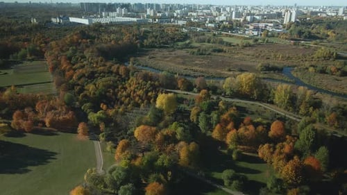 Autumn City Park. Trees With Colorful Leaves. A Winding Bike Path Is Visible Between The Trees.