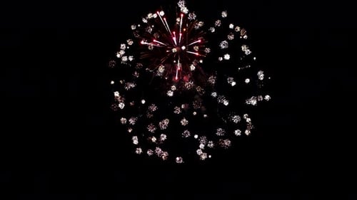 Brilliant Fireworks Exploding in the Dark Night Sky