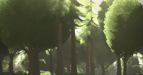 Lush Forest with Sunlight Filtering Through Trees in Serene Landscape