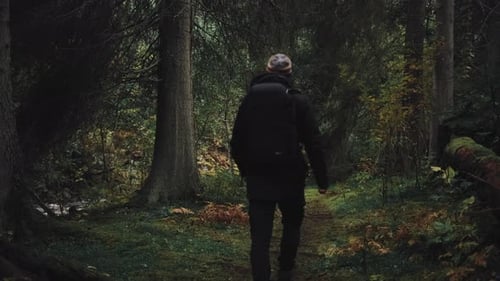 Back short of man camper walk's in the forest. A black guy with a big backpack walks along a forest