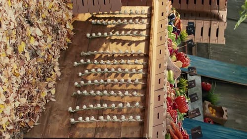 Vertical Video Healthy Locally Grown Fruits and Vegetables on Farmers Market Stand