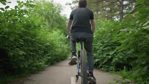 Young Boy Cycling Along Scenic Paved Path Surrounded By Lush Greenery