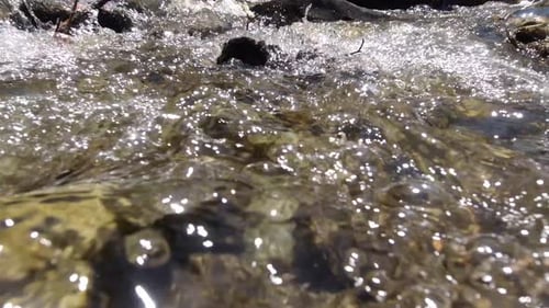 Clear Water Flows Over Rocks in River