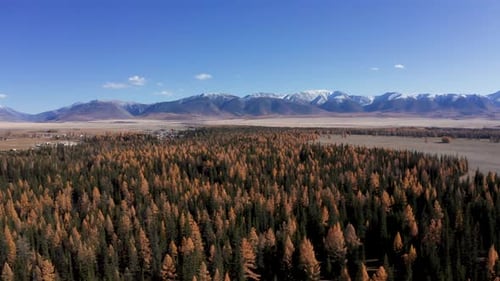 Aerial view of forest and snow-capped mountains, Russia.
