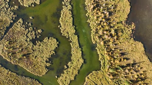A drone view of the river on the field. An aerial view of an autumn. Banff National Park, Canada