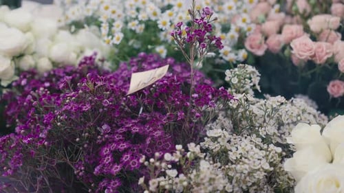 Variety of Bouquets in Flower Shop Indoors Multicolored Tender Flowers for Sale