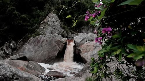 Beautiful waterfall flowing over large rocks with flowers in the foreground