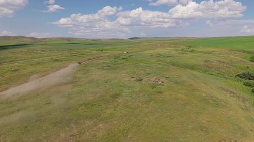 Black Car Leaving Dust Trail on Dirt Road in Green Meadow