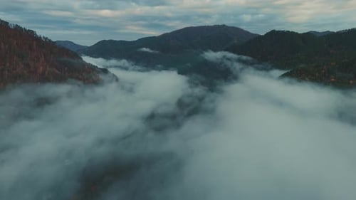 Fog Blankets Serene Mountain Valley at Dawn with Stunning Natural Views