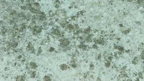 Tropical Sea with Turquoise Water