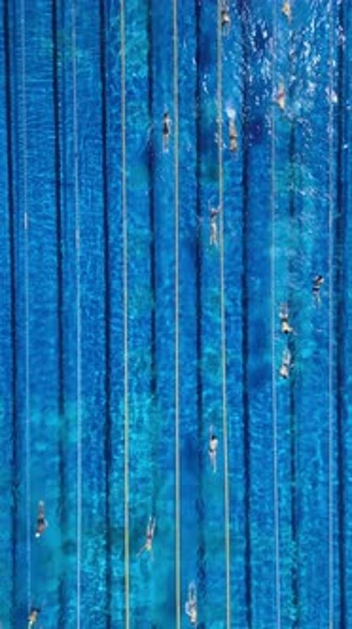 Swimmers are Training in an Outdoor Pool Before the Competition View From a Drone Topdown