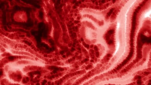 Moving plasma distortions of fluid