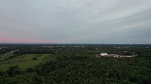 An panoramic view of a forest glade at sunset time. The branches of the trees. Green grass