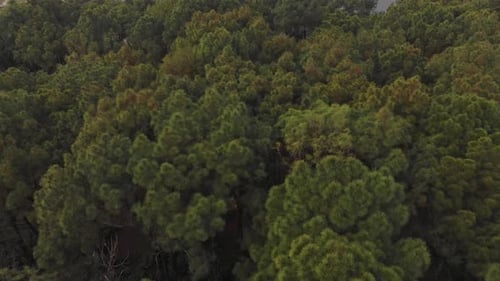 Aerial view of Thuy Tien lake Abandoned Water Park Hue Vietnam big dragon