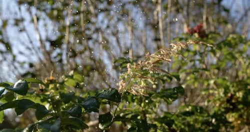 Raindrops falling in super slow motion.
