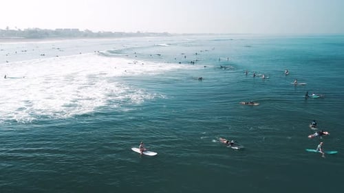 Crowd Surfing Bali People Surf the Wave on Famous Batu Bolong Surfing Spot on Bali Indonesia