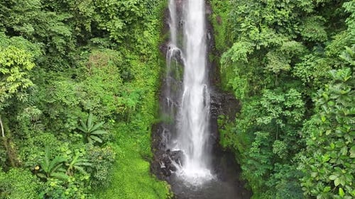 Aerial View of Waterfall in Lush Jungle