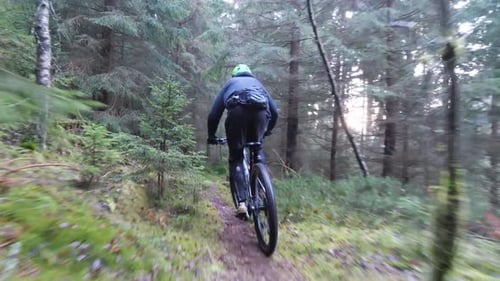 Following Mountain Biker Riding Bicycle in Forest Path, Slow Motion Action Shot