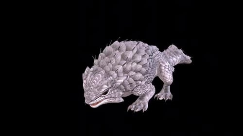 Spiny Lizard Taunt