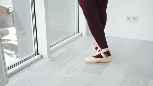 Ballerina Legs in Beige Pointe Shoes