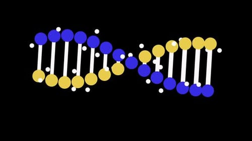 Animated Rotating DNA Helix in Flat Design Style