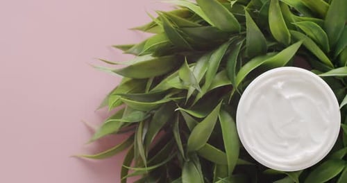 Jar of cream surrounded by green leafy plants
