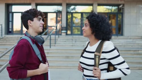 Two cheerful young students talking on the university campus