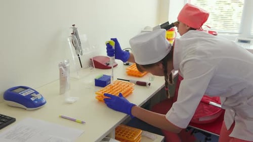 Women Working On Medical Experiment In Laboratory