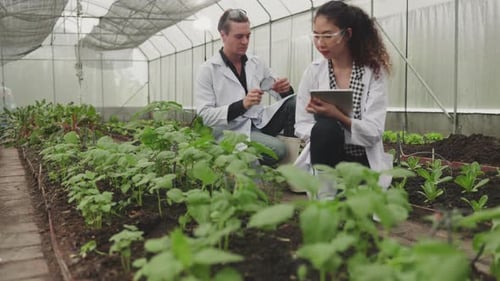 Two plant disease biology and breeding scientist records data from plant leaves