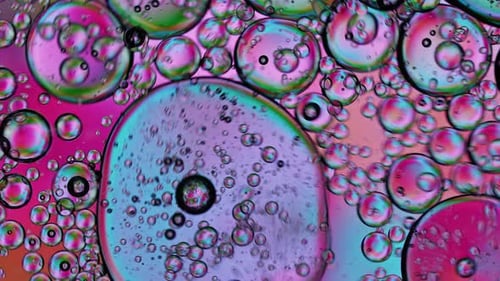 Abstract Colorful Organic Food Oil Drops Bubbles On Water Surface 100