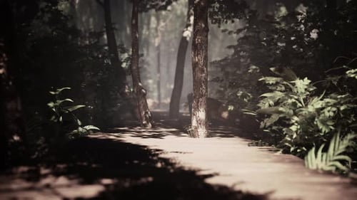 Sunlit Forest Path Loop Animation with Flowing Rays