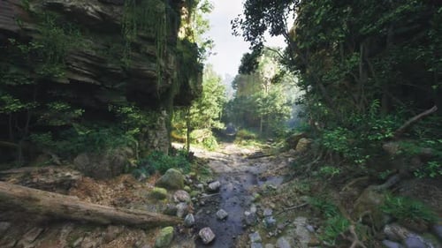 Calm Water Meanders Through Rocky Ravine Beneath Dappled Shaded Canopy
