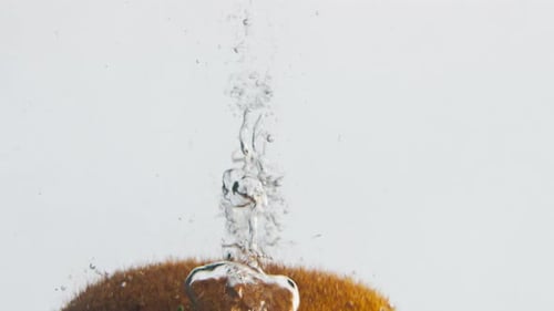 Kiwi Fruit Plunges Into Clear Water